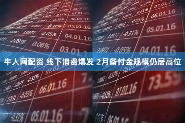 牛人网配资 线下消费爆发 2月备付金规模仍居高位