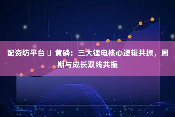 配资坊平台 黄磷:三大锂电核心逻辑共振,周期与成长双线共振