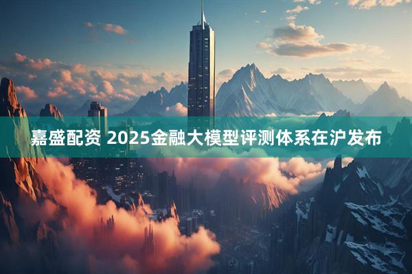 嘉盛配资 2025金融大模型评测体系在沪发布