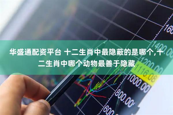 华盛通配资平台 十二生肖中最隐蔽的是哪个,十二生肖中哪个动物最善于隐藏