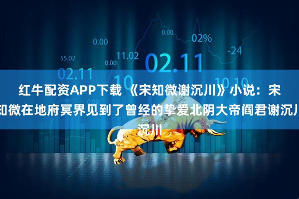 红牛配资APP下载 《宋知微谢沉川》小说：宋知微在地府冥界见到了曾经的挚爱北阴大帝阎君谢沉川